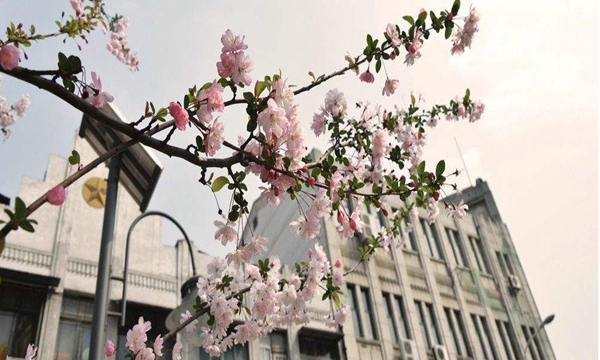 陕西教师资格证面试时间安排是什么？