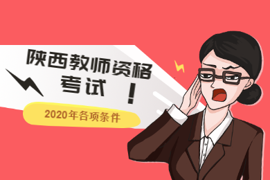 陕西教师资格考试备考
