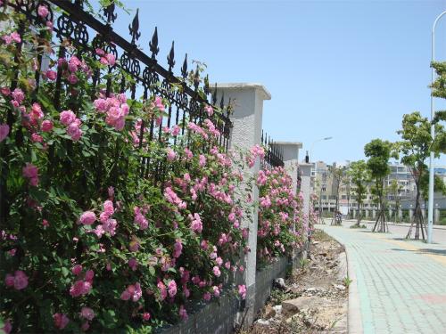 陕西教师资格证考试报名入口